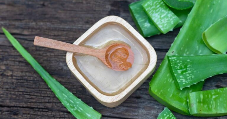 Wonders of Aloe Vera