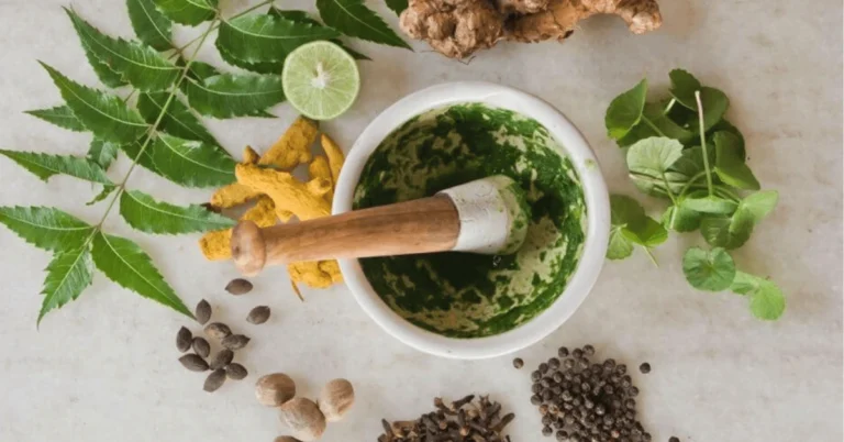 Ayurvedic Plants and Their Benefits: Unlocking the Power of Nature's Healers