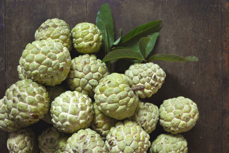 Growing Custard Apples at Home: A Delicious Venture into Home Gardening