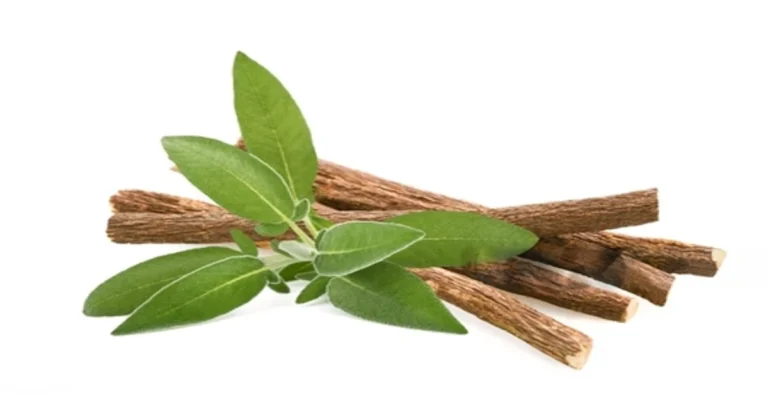 "The Power of Ashwagandha: Growth, Benefits, and Best Practices"