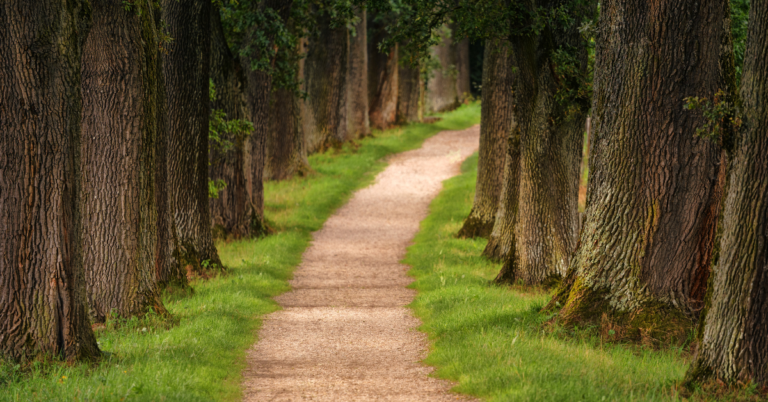 Unveiling the Fascinating World of Plant Science.