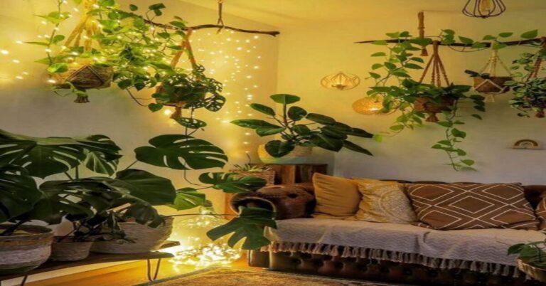 Best Air Purifying Plants for a Healthier Home Environment