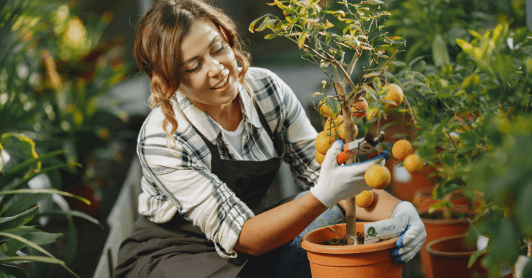 Cultivate Freshness - Easy to Grow Vegetables at home