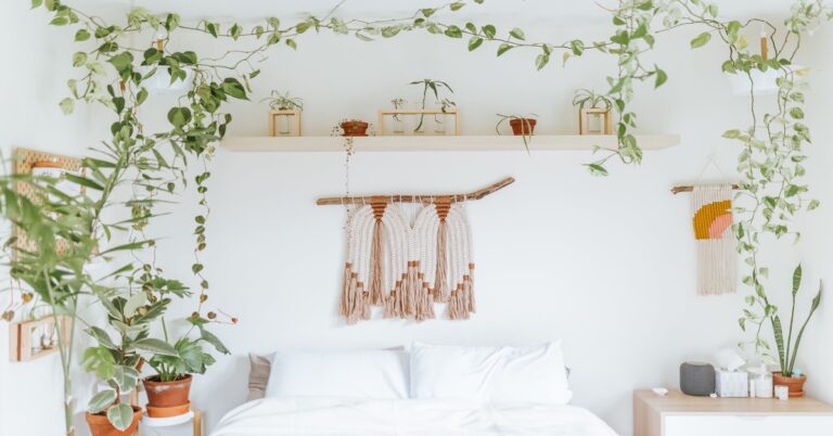 Bedroom Plants for Good Sleep and Health